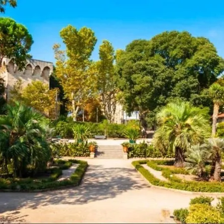 Barnabe : Nid Douillet Perche En Plein Centre Historique. Appartement *