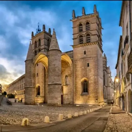 Barnabe : Nid Douillet Perche En Plein Centre Historique. * 몽펠리에
