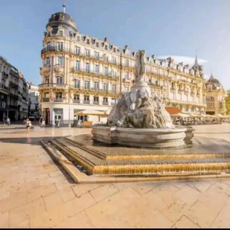 Appartement Barnabe : Nid Douillet Perche En Plein Centre Historique. Montpellier