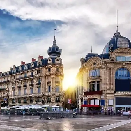 Barnabe : Nid Douillet Perche En Plein Centre Historique. Montpellier