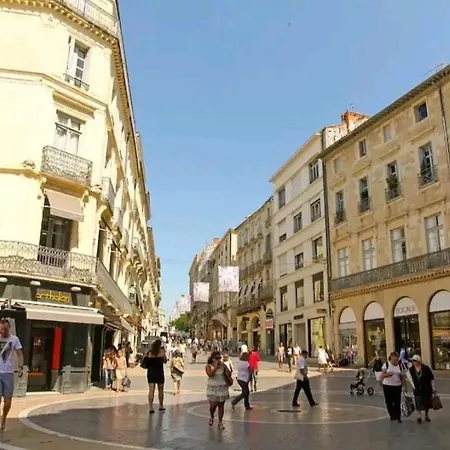 Barnabe : Nid Douillet Perche En Plein Centre Historique. * Montpellier